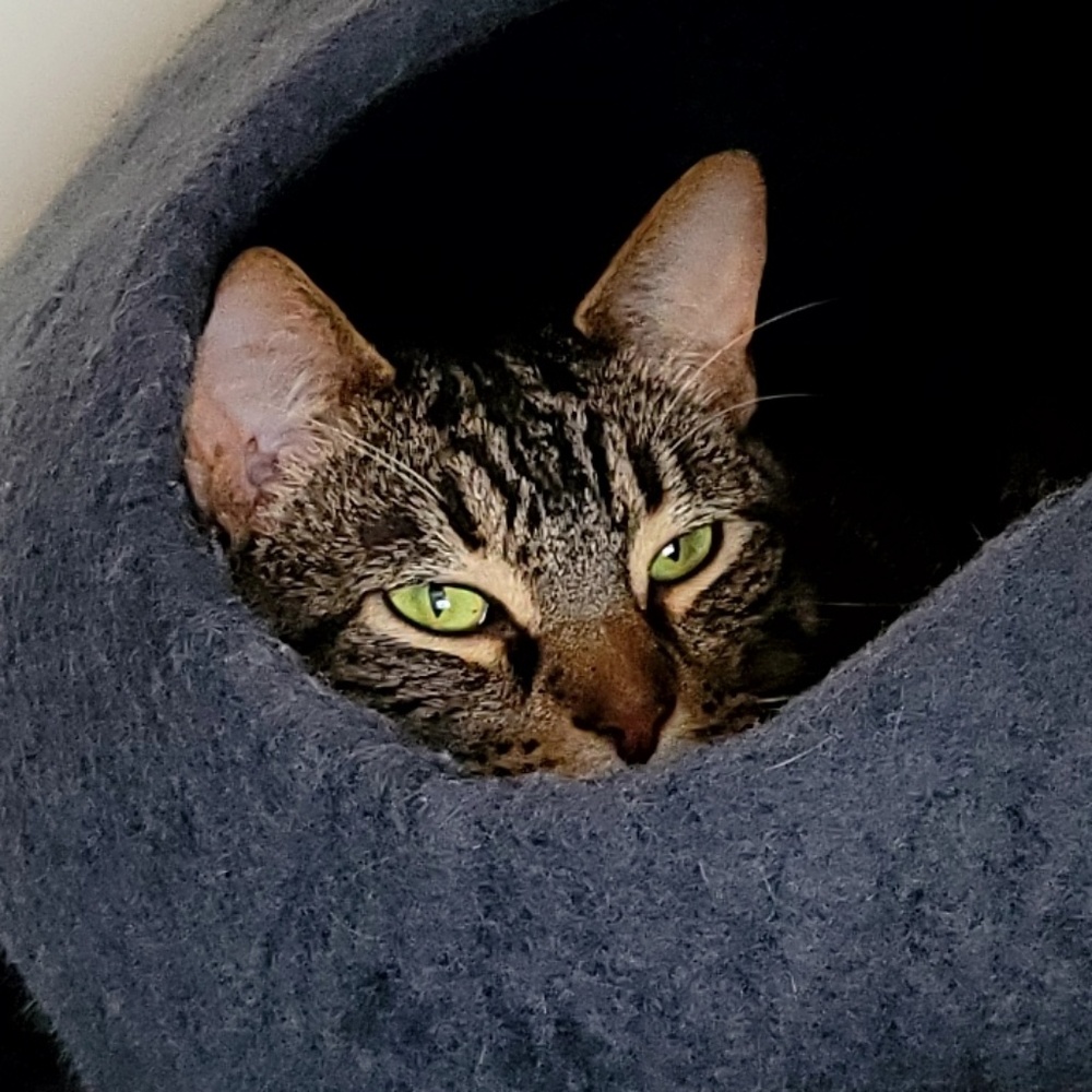 Meet your Posher, Jeff